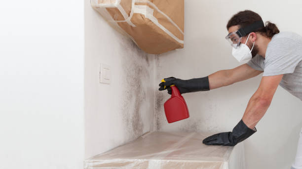 Professional Attic Mold Remediation technician working in Rumson, NJ