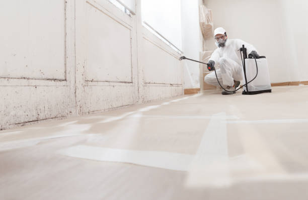 24/7 Emergency Attic Mold Remediation experts in Rumson, NJ
